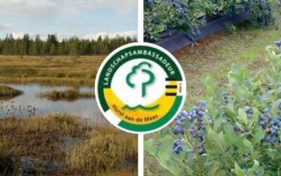 Rondleiding: Tijdreis van Peelland naar Blauwebessenland
